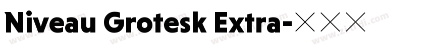 Niveau Grotesk Extra字体转换 Niveau Grotesk Extra字体转换